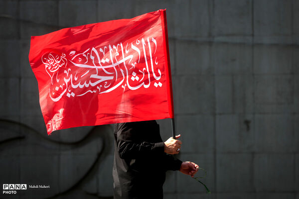 مراسم تشییع پیکر مطهر رهبر شهید انقلاب در تهران - 3