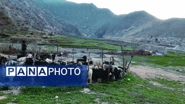 طبیعت بهاری، یک یادآوری دوست داشتنی