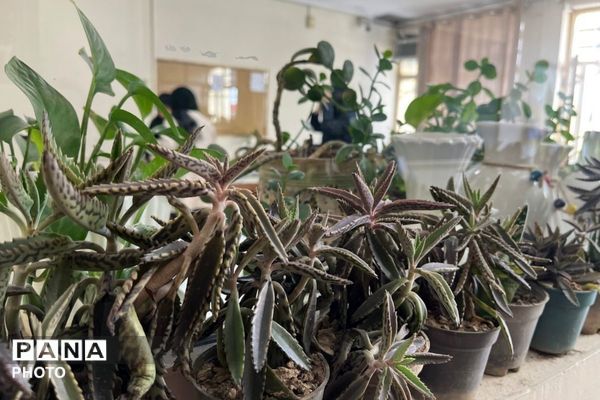 عطر گل‌ها و رنگ هنر در مدرسه فنی‌وحرفه‌ای هجرت به هم آمیخت