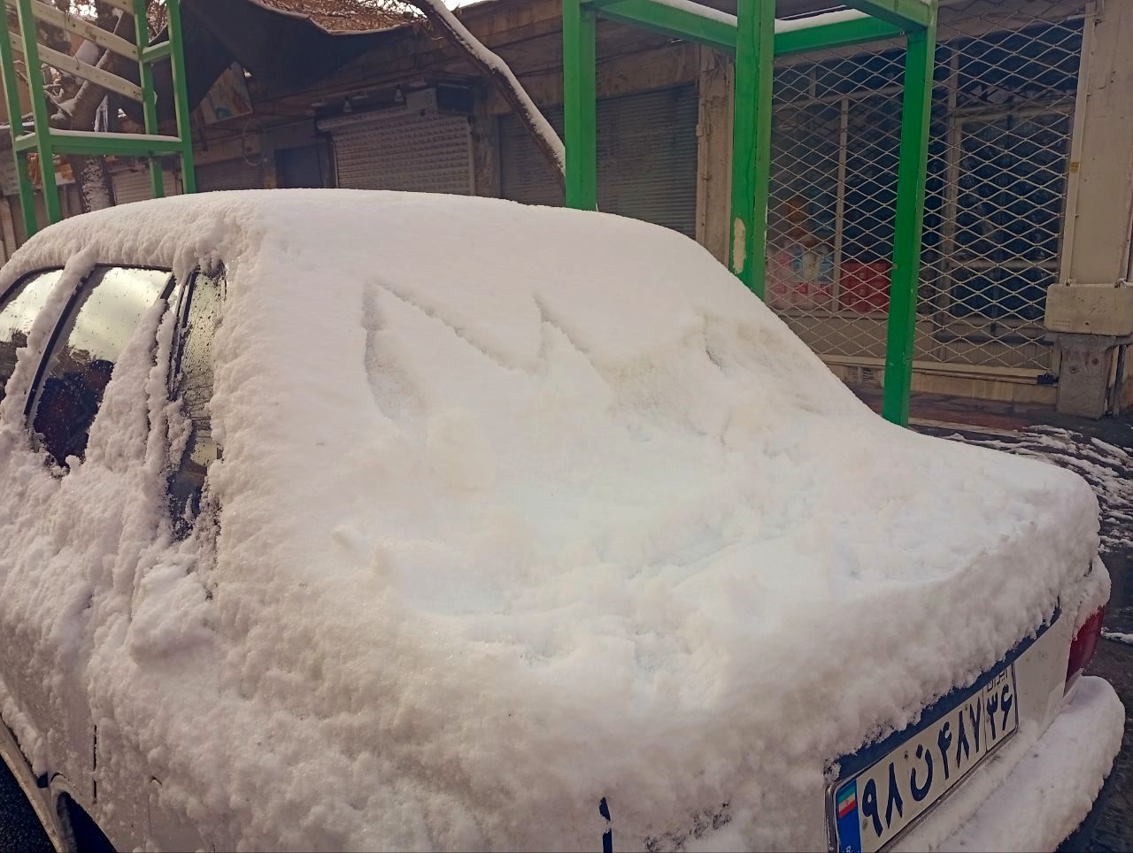 برف میهمان کاشمر شد