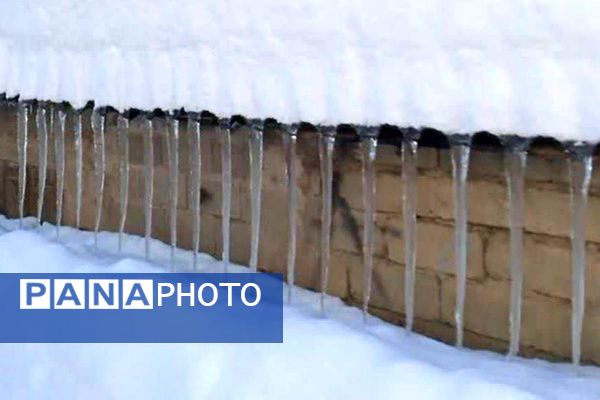 قابِ سفیدِ زمستان فـیـروزکــوه