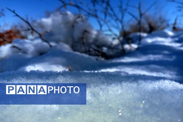 رد پای برف در باغات نهضت آباد اصفهان