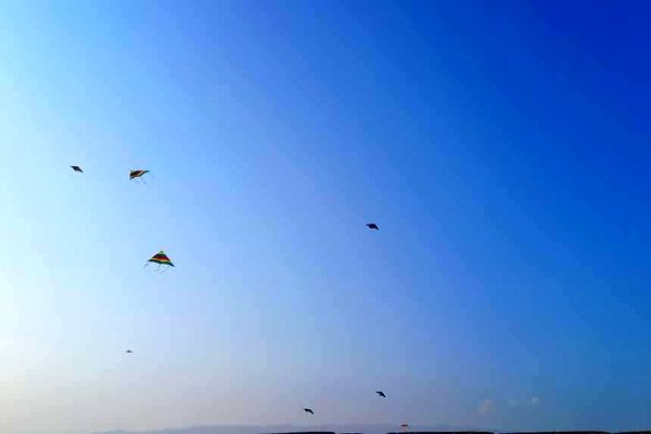 پرواز بادبادک‌‌ها در روز کودک 