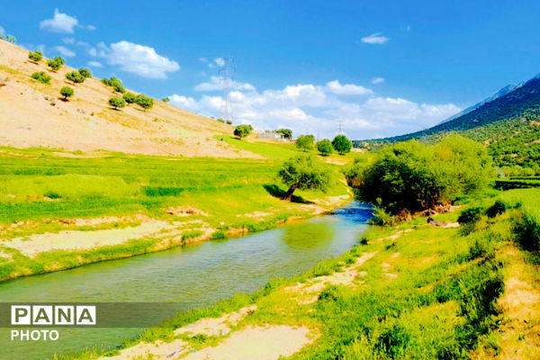  بهاریِ رنگارنگ در پل‌بریده