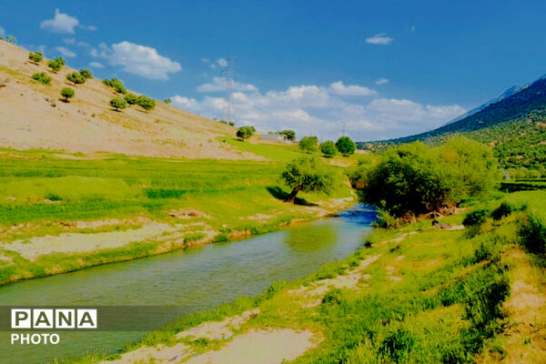  بهاریِ رنگارنگ در پل‌بریده