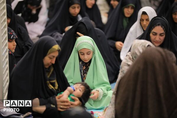 نماز عبادسی سیاسی جمعه شهرستان ساوجبلاغ