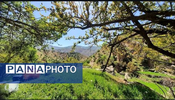 طبیعت سر سبز رفن به هنگام بهار