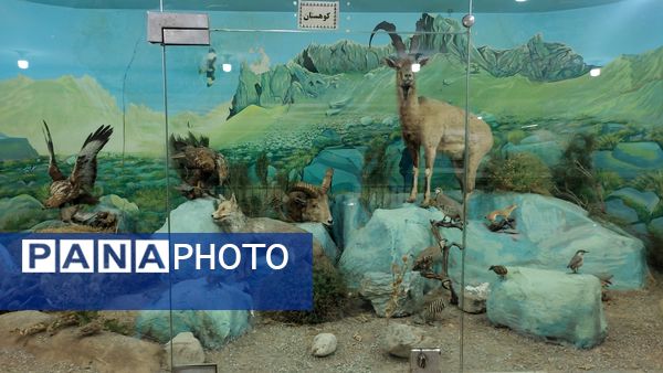 بازدید علمی دانش‌آموزان دبستان شاهد حاج تقی آقا‌بزرگ از پژوهش‌سرای علامه طباطبایی ناحیه یک مشهد