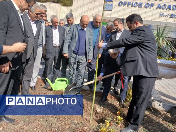 کاشت نهال یادمان صحن دانش تا کرسی قانون‌گذاری 