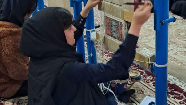 موج رنگها در جشنواره فردا