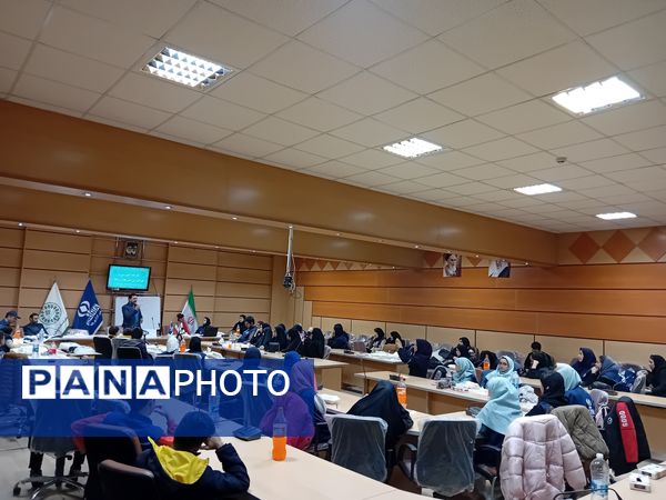 برگزاری کارگاه آموزشی خبرنگاران پانا استان در بجنورد