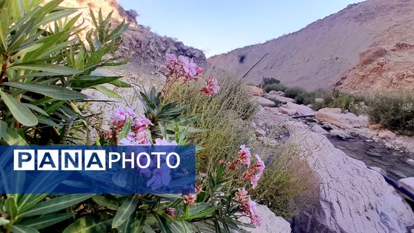 روستای برد‌زرد نگینی غریب در شهرستان لنده