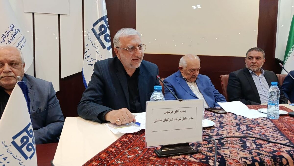 ایجاد شهرک‌های تخصصی و برندسازی می‌تواند جایگاه جهانی فرش دست‌باف ایران را تقویت کند