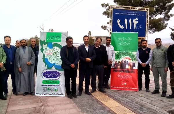 روز درختکاری در تربت جام