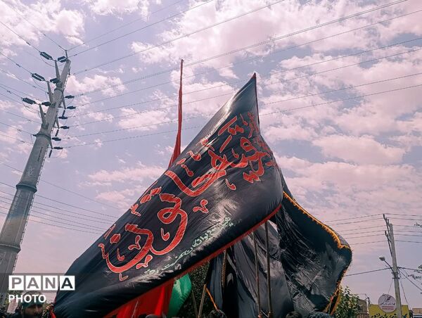 عزاداری تاسوعای حسینی در امامزاده سید معصوم(ع) قم
