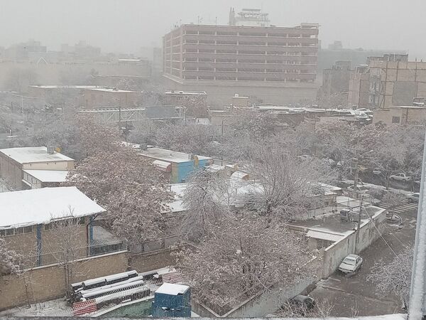 بارش برف در مشهد