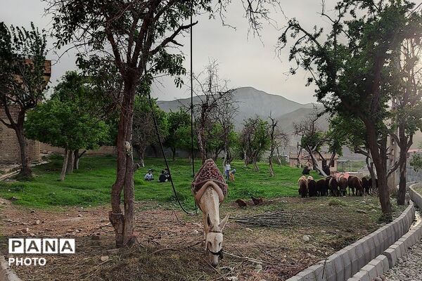 حال و هوای شهر بار نیشابور در فصل زیبای بهار