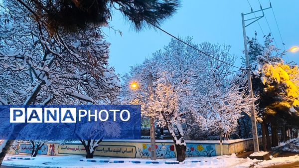 بارش برف جلوه ای از نعمت الهی در روزهای سفید باخرز