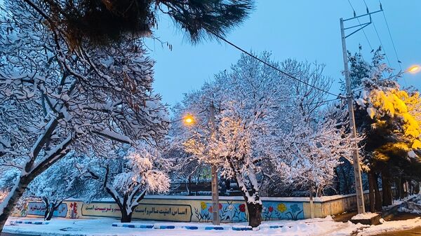 بارش برف جلوه ای از نعمت الهی در روزهای سفید باخرز