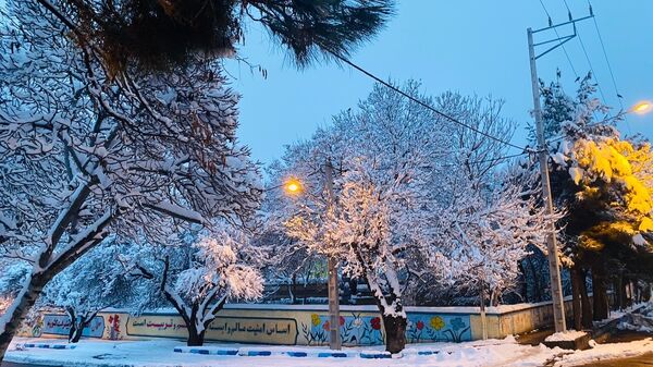 بارش برف جلوه ای از نعمت الهی در روزهای سفید باخرز