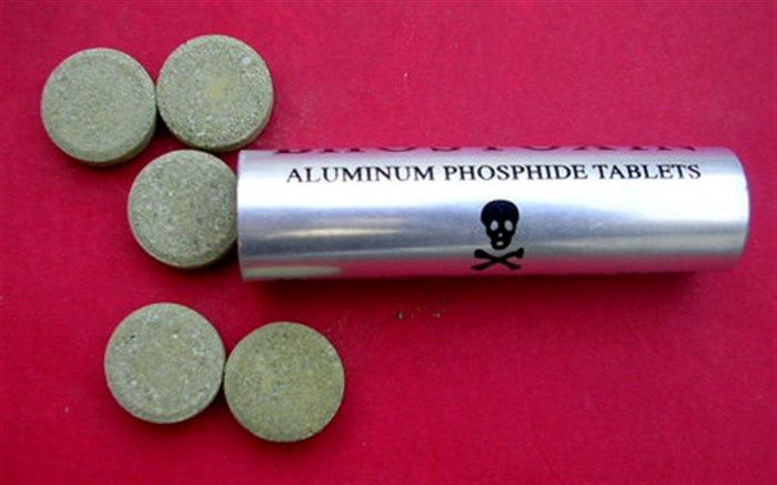 افزایش مرگ با قرص برنج در تهران