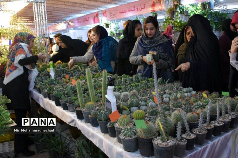 جشنواره ملی گل و‌گیاه در بابل
