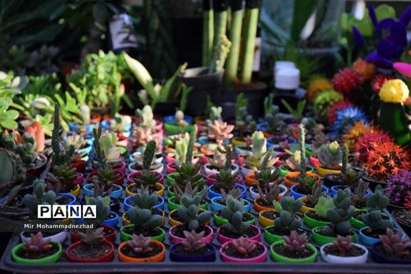 جشنواره ملی گل و‌گیاه در بابل