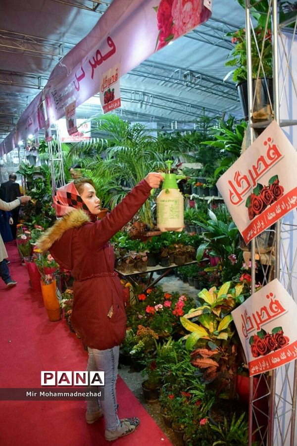 جشنواره ملی گل و‌گیاه در بابل