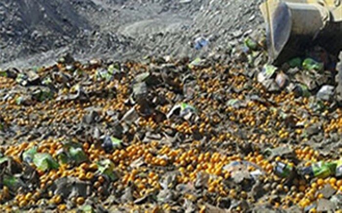 امحاء 23 تن میوه قاچاق در خراسان جنوبی