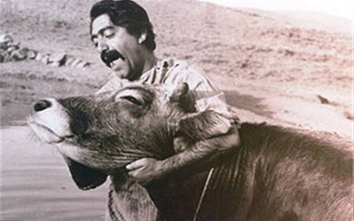 بازخوانی فیلم گاو با حضور آقای کارگردان