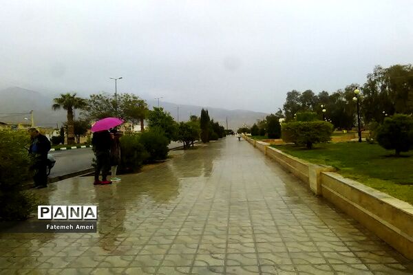 بارش باران در استان فارس