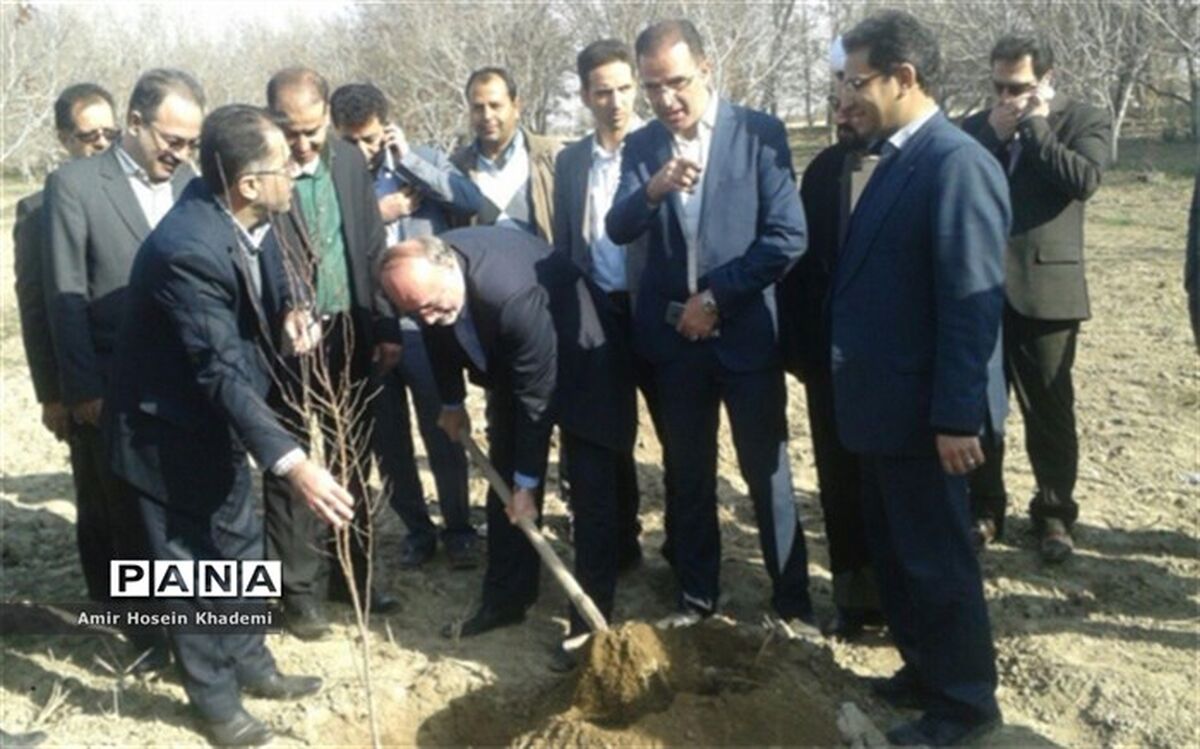 اجرای طرح بیابان زدایی در ۴۰ هزار هکتار کانون بحرانی البرز