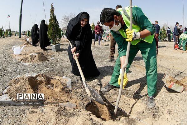 آیین کاشت درخت ایثار