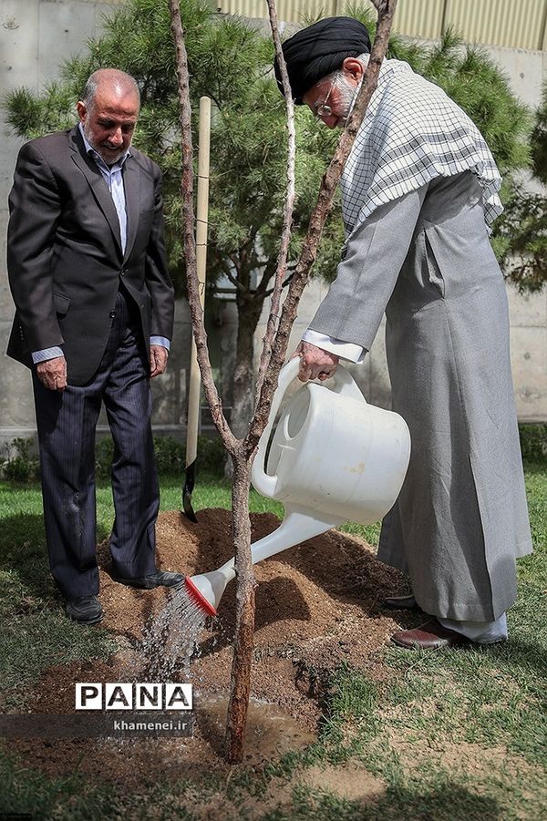 کاشت نهال توسط رهبر انقلاب در روز درختکاری
