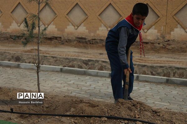 آیین کاشت نهال در قم
