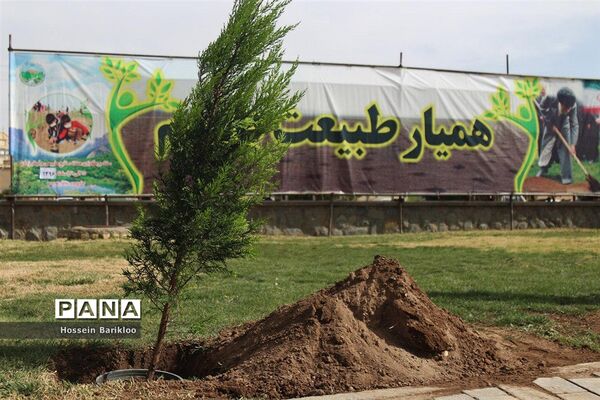 آیین کاشت نهال در قم