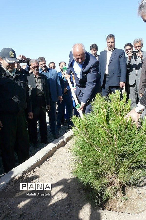 روز درختکاری دربوستان شهدای گمنام روستای حاجی آباد شهرستان بیرجند