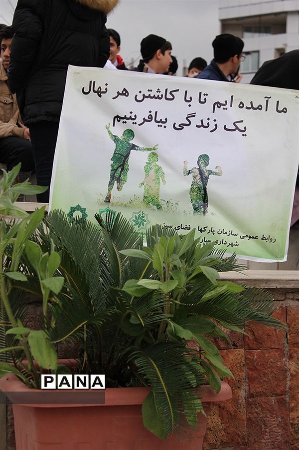 آیین درختکاری با حضور اعضای تشکیلات سازمان دانش‌آموزی در شهرستان ساری