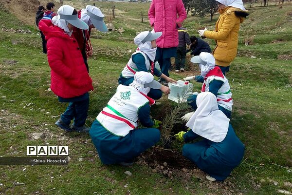 مراسم روز درختکاری با حضور دانش آموزان پیشتاز در مدارس استان کردستان