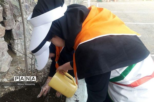 مراسم روز درختکاری با حضور دانش آموزان پیشتاز در مدارس استان کردستان