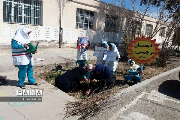 مراسم روز درختکاری در نهبندان