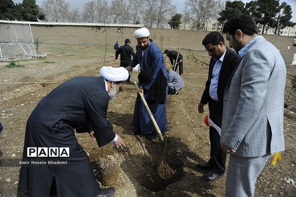 اجرای طرح بزرگ جنگل‌کاری توسط 150 زندانی در کرج