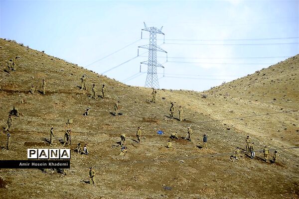 اجرای طرح بزرگ جنگل‌کاری توسط 150 زندانی در کرج