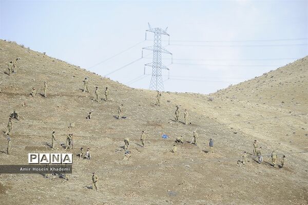 اجرای طرح بزرگ جنگل‌کاری توسط 150 زندانی در کرج