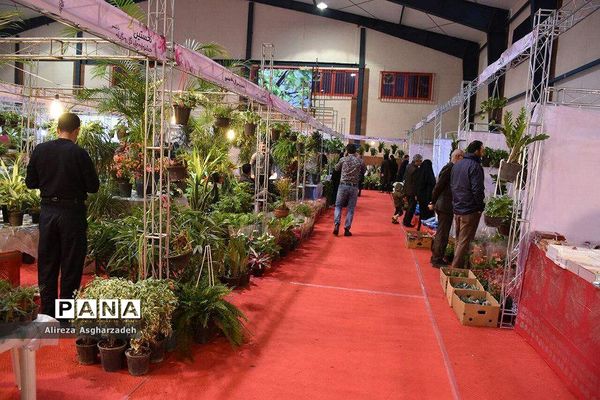 اولین جشنواره ملی گل و گیاه در مجتمع شهید عظیمی بابلسر