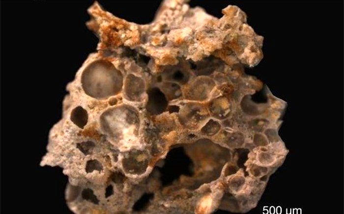 کهن‌ترین فسیل جهان به قدمت ۱٬۶۰۰٬۰۰۰٬۰۰۰ سال! + تصاویر