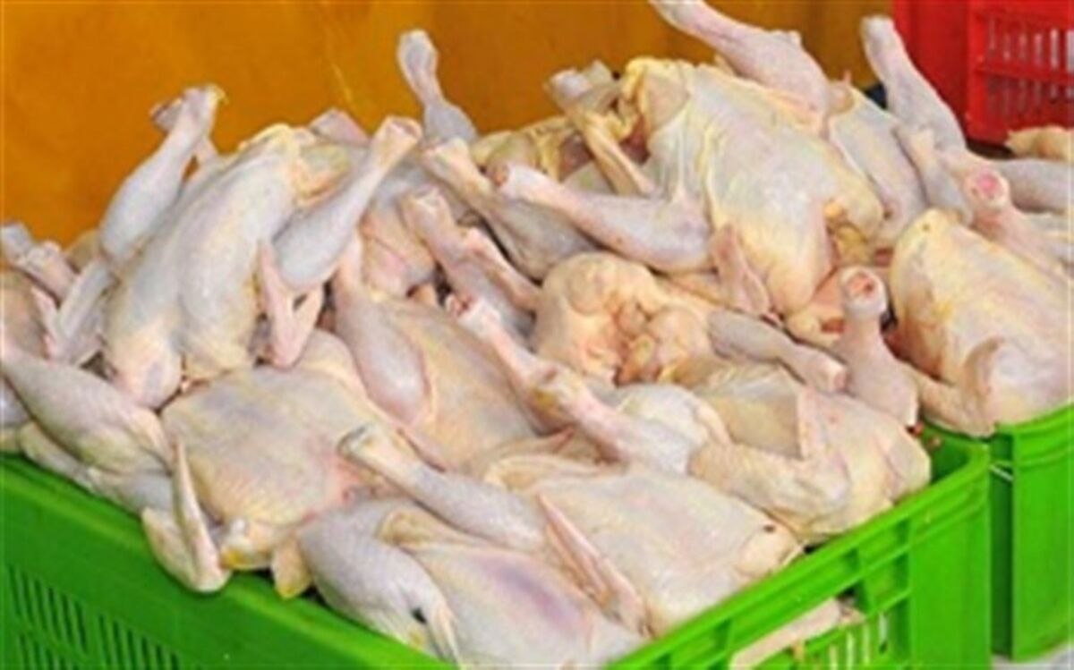 تولید گوشت مرغ در استان سمنان به حدود 57 هزار تن می‌رسد