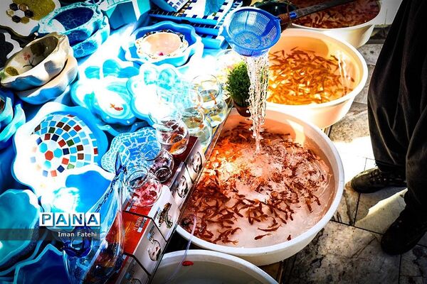 ماهی قرمز