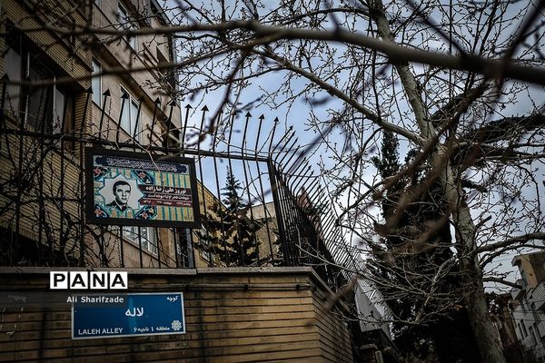 نقش شهدا بر دیوارهای شهر