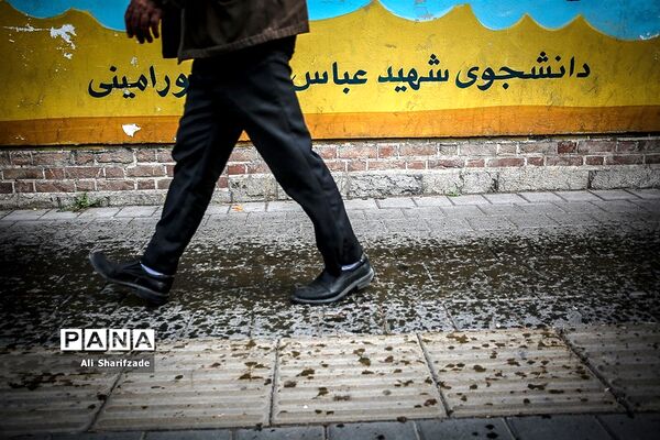 نقش شهدا بر دیوارهای شهر